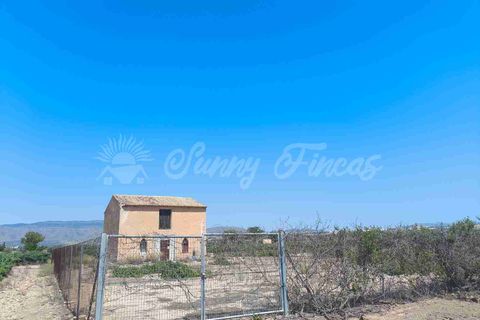 Landejendom i Caudete, Albacete, Caudete - € 87.000 | Ref: SF0540 - foto 17